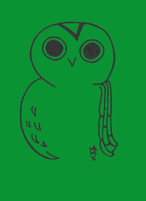 A stylised image of a black owl on a green background