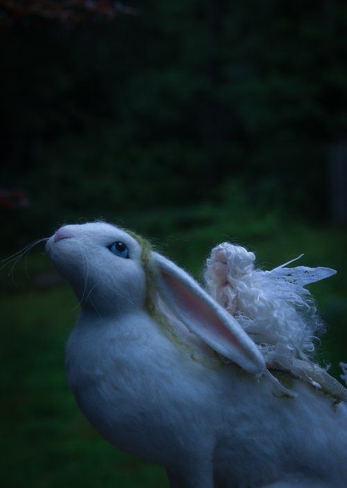 A fairy clad in white sits on the back of a white rabbit
