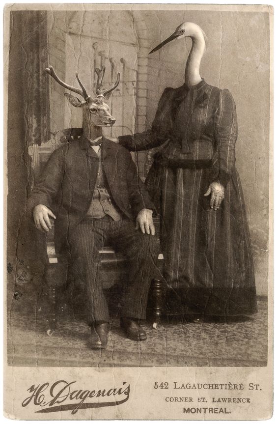A sepia photograph of a suited man with an elk's head sitting in a chair. A woman in late Victorian clothing with the head of a crane has her hand placed on his shoulder.