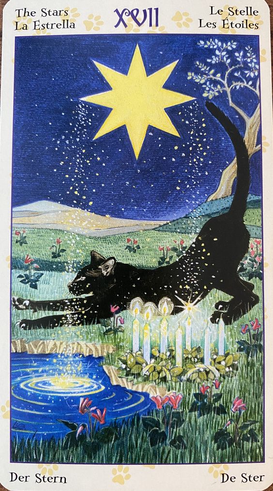 Image from the Tarot Pagan Cats Deck