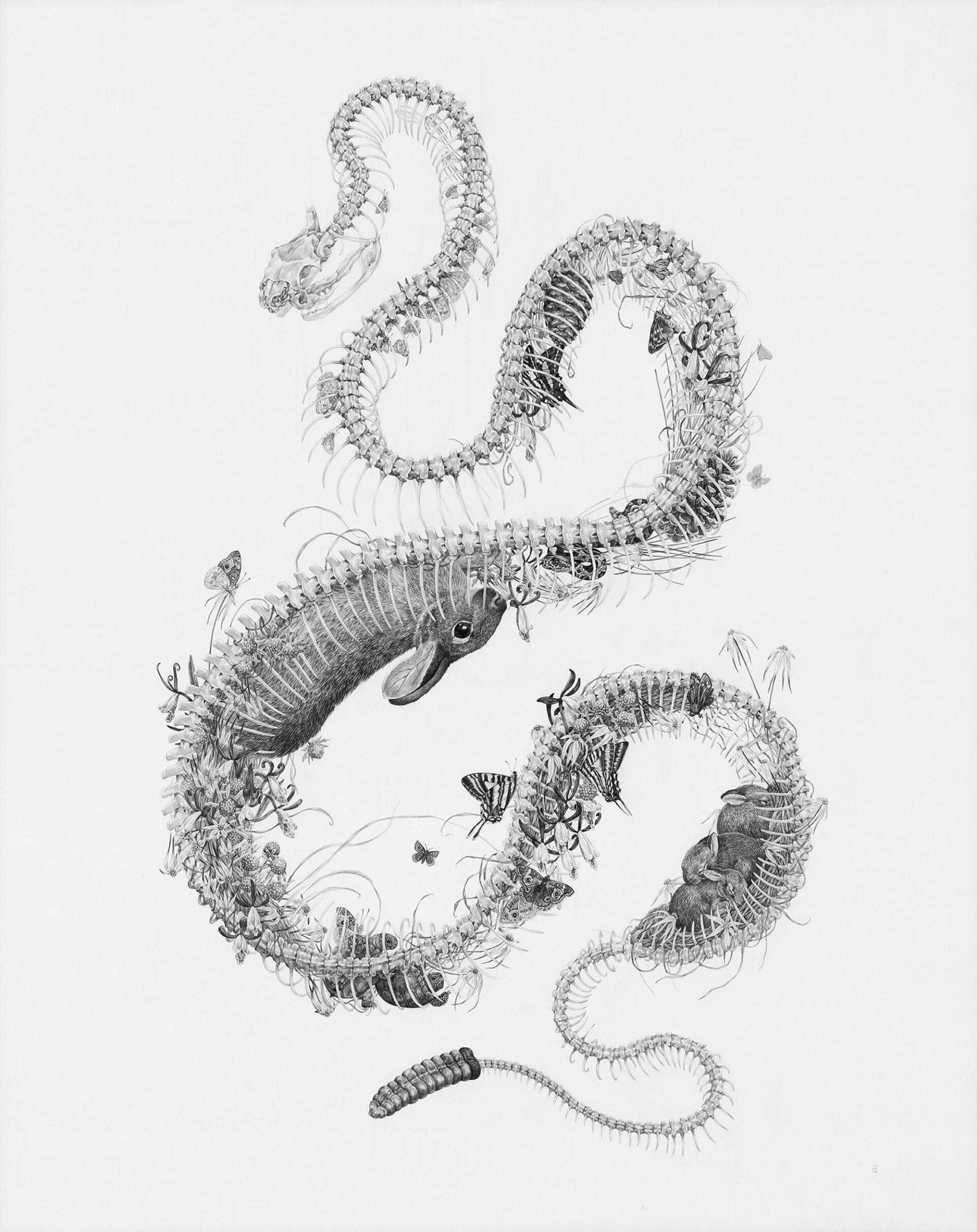 A graphite sketch of a rattlesnake skeleton filled with living joyful beings- butterflies, rabbits, blossoms and birds