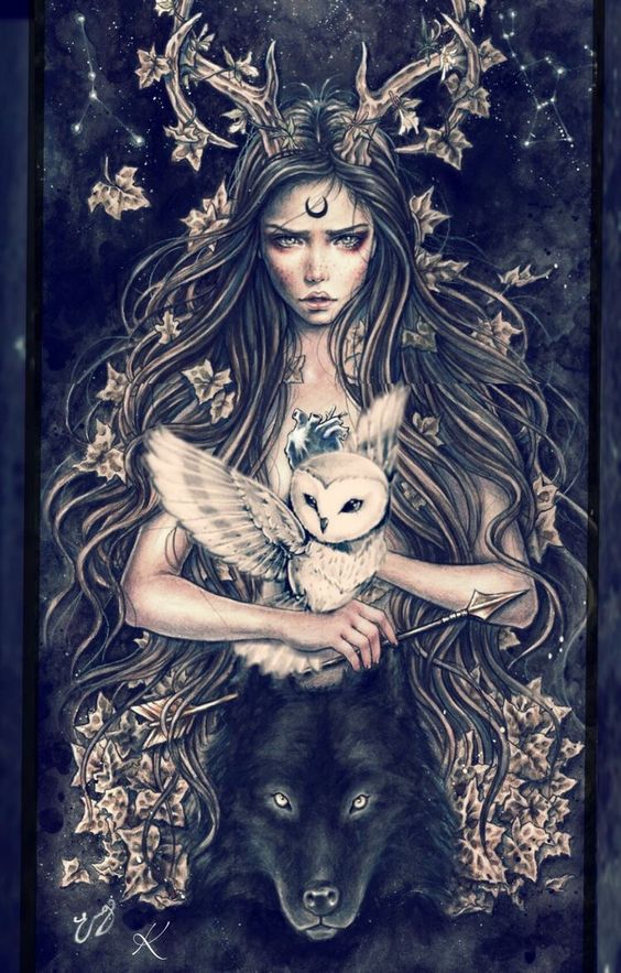A woman superimposed on the image of a moth, holding an owl and with a black wolf covering the lower half of her body.